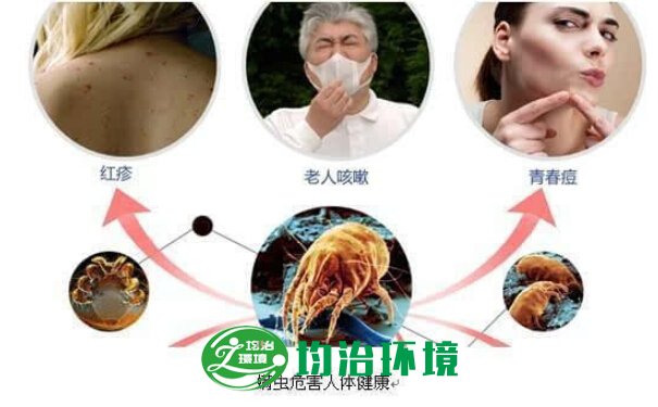 螨蟲的危害
