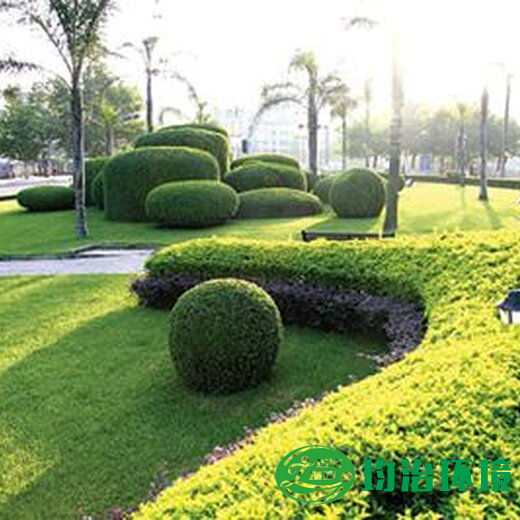關(guān)于園林綠化養(yǎng)護(hù)
