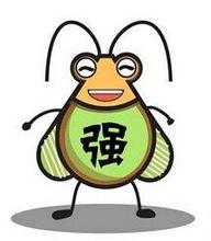 蟑螂為什么叫小強(qiáng)