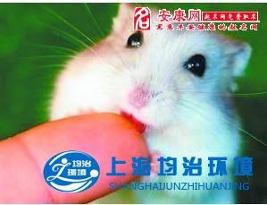 被老鼠咬傷之后應(yīng)該怎么辦