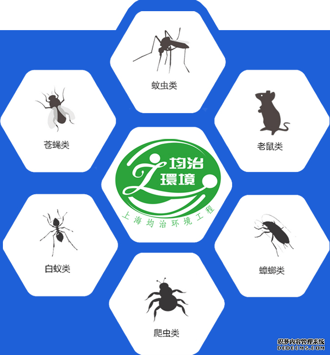 居家蟲害防制寶典---鼠