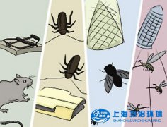 天氣轉(zhuǎn)暖，蚊子、蒼蠅、蟑螂、老鼠開始活躍