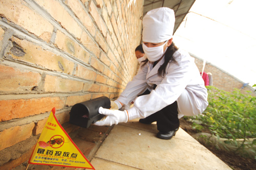 滅鼠的簡單方法及防治方法    上海均治環(huán)境工程