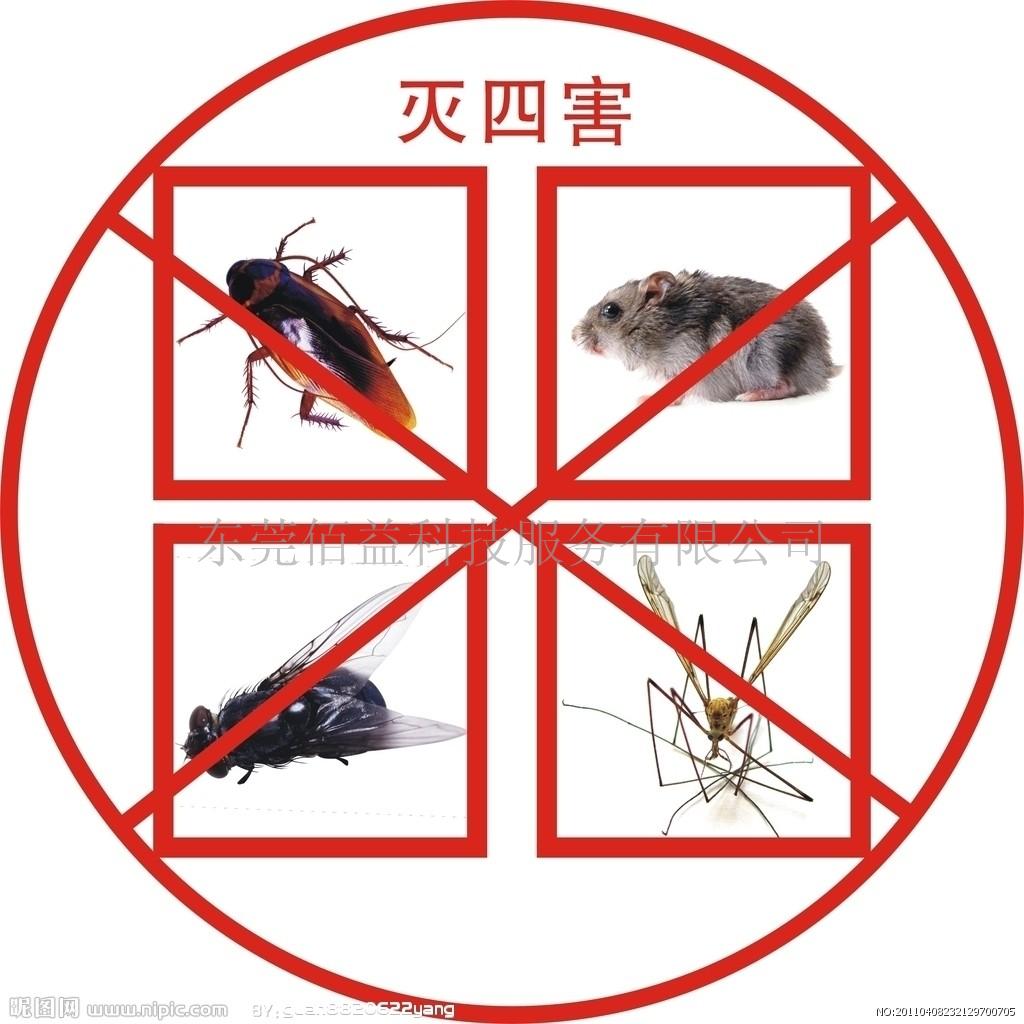 居家蟲害防制寶典--老鼠、蟑螂
