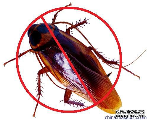 保障食品安全，杜絕四害為先系列之蟑螂