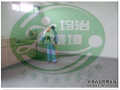 怎樣區(qū)分白蟻和螞蟻？