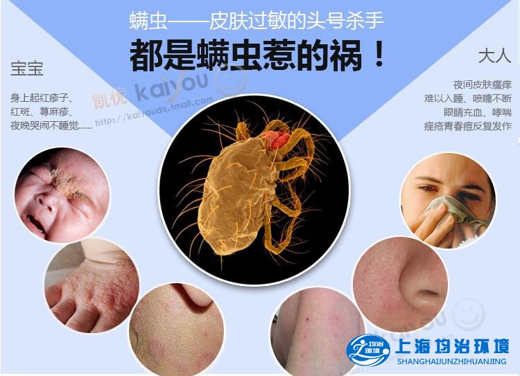 你真的了解螨蟲嗎？