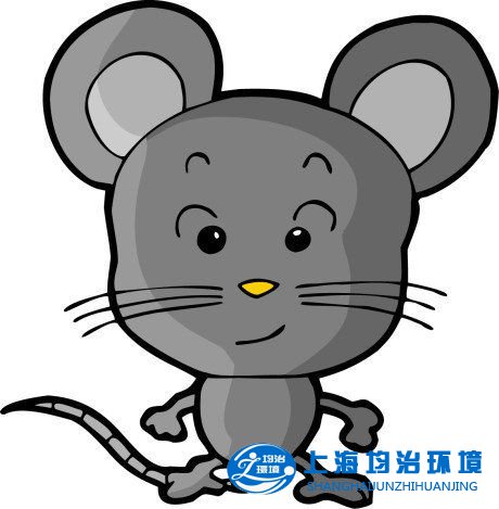 冬季老鼠喜歡鉆車內(nèi)，易給汽車造成危害