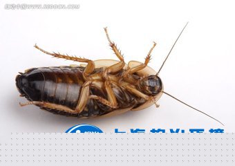 【健康小常識(shí)】家里和辦公室里都很干凈，怎么