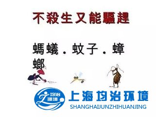 驅蟲新方：螞蟻怕酸，蚊子怕辣，蟑螂怕香？