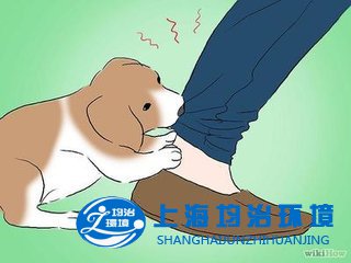 被兔子、老鼠、烏龜、隔壁班的“熊孩子”……